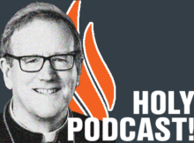bishop-rober-barron-word-on-fire-podcast